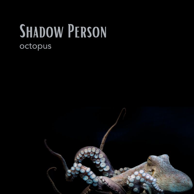 Octopus Cult ‎Smashing Peaceful Society OCTOPUS CULT profile | OCTOPUS CULTプロフィール | vkgy